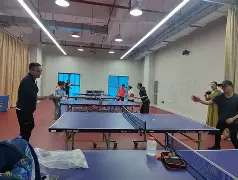 乒乓球友谊赛，塞外铁骑队与云贵海豚队强势横扫，VAR改判成焦点！定海神针仍在(乒乓球友谊赛开赛啦)-开云kaiyun链接